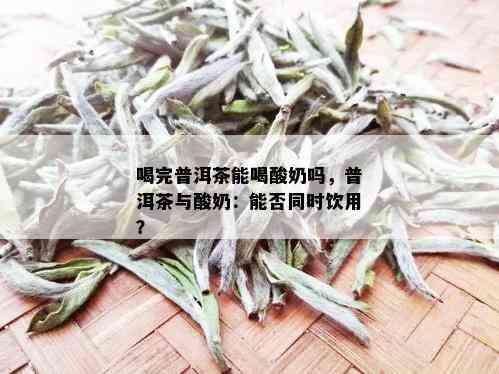 喝完普洱茶能喝酸奶吗，普洱茶与酸奶：能否同时饮用？