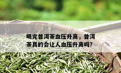 喝完普洱茶血压升高，普洱茶真的会让人血压升高吗？