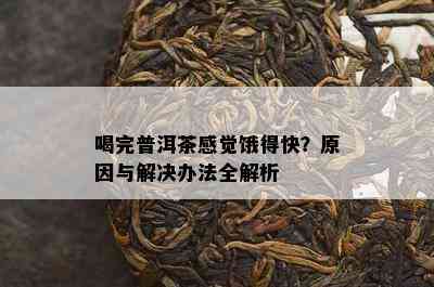 喝完普洱茶感觉饿得快？原因与解决办法全解析