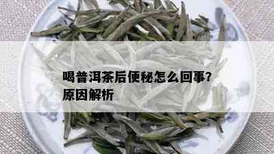 喝普洱茶后便秘怎么回事？原因解析