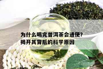 为什么喝完普洱茶会通便？揭开其背后的科学原因