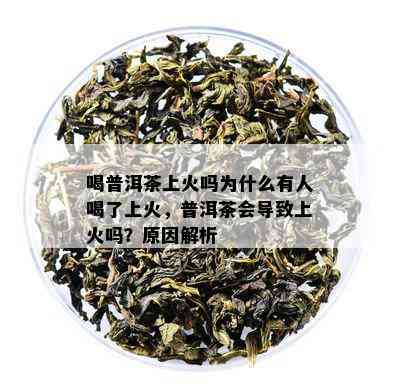 喝普洱茶上火吗为什么有人喝了上火，普洱茶会导致上火吗？原因解析