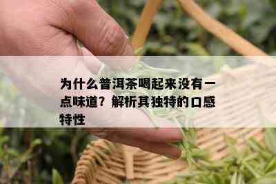 为什么普洱茶喝起来没有一点味道？解析其独特的口感特性