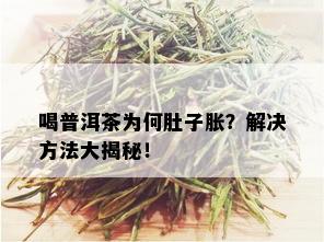 喝普洱茶为何肚子胀？解决方法大揭秘！