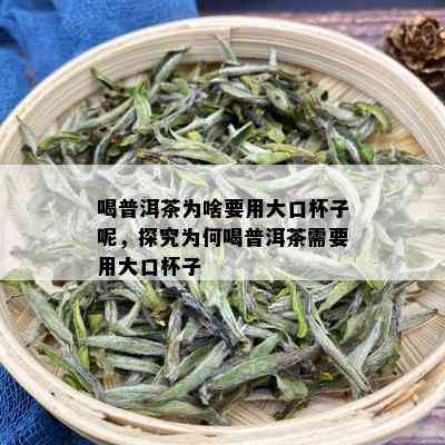 喝普洱茶为啥要用大口杯子呢，探究为何喝普洱茶需要用大口杯子