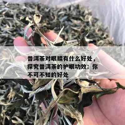 普洱茶对眼睛有什么好处，探究普洱茶的护眼功效：你不可不知的好处