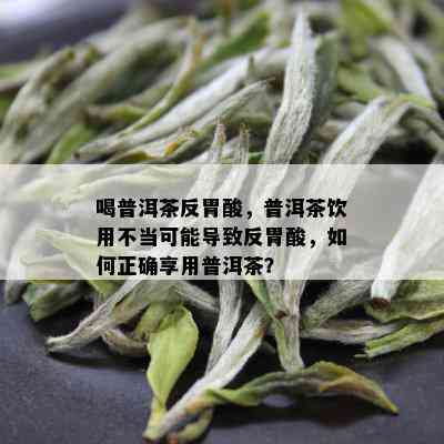 喝普洱茶反胃酸，普洱茶饮用不当可能导致反胃酸，如何正确享用普洱茶？