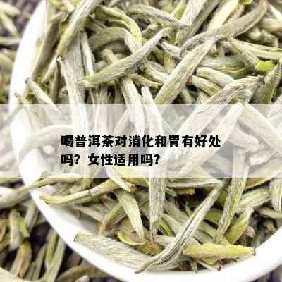 喝普洱茶对消化和胃有好处吗？女性适用吗？