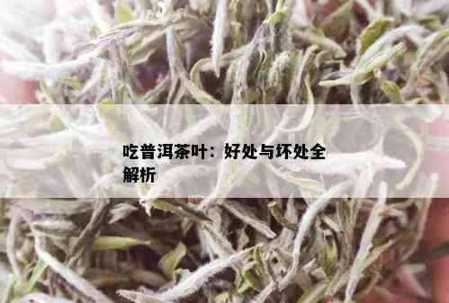 吃普洱茶叶：好处与坏处全解析