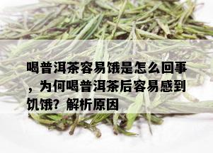 喝普洱茶容易饿是怎么回事，为何喝普洱茶后容易感到饥饿？解析原因