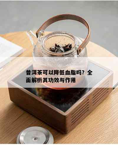 普洱茶可以降低血脂吗？全面解析其功效与作用