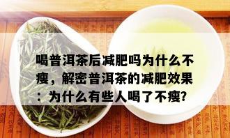 喝普洱茶后减肥吗为什么不瘦，解密普洱茶的减肥效果：为什么有些人喝了不瘦？