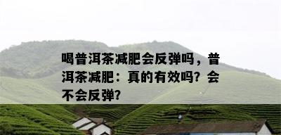 喝普洱茶减肥会反弹吗，普洱茶减肥：真的有效吗？会不会反弹？