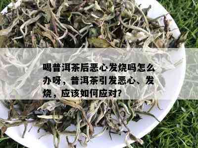 喝普洱茶后恶心发烧吗怎么办呀，普洱茶引发恶心、发烧，应该如何应对？