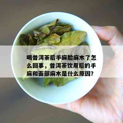 喝普洱茶后手麻脸麻木了怎么回事，普洱茶饮用后的手麻和面部麻木是什么原因？