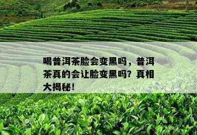 喝普洱茶脸会变黑吗，普洱茶真的会让脸变黑吗？真相大揭秘！