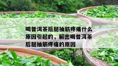 喝普洱茶后腿抽筋疼痛什么原因引起的，解密喝普洱茶后腿抽筋疼痛的原因