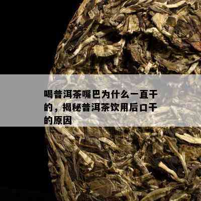 喝普洱茶嘴巴为什么一直干的，揭秘普洱茶饮用后口干的原因