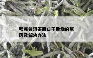 喝完普洱茶后口干舌燥的原因及解决办法