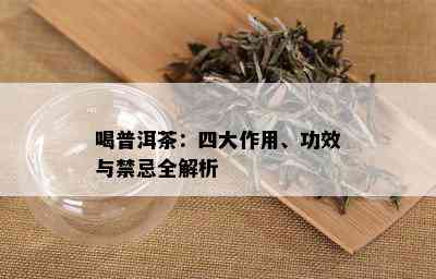 喝普洱茶：四大作用、功效与禁忌全解析