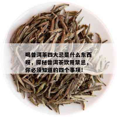 喝普洱茶四大忌是什么东西呀，探秘普洱茶饮用禁忌，你必须知道的四个事项！