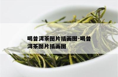 喝普洱茶图片插画图-喝普洱茶图片插画图