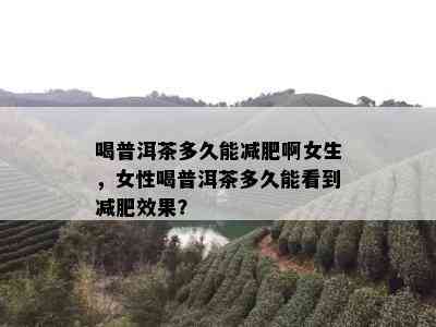 喝普洱茶多久能减肥啊女生，女性喝普洱茶多久能看到减肥效果？