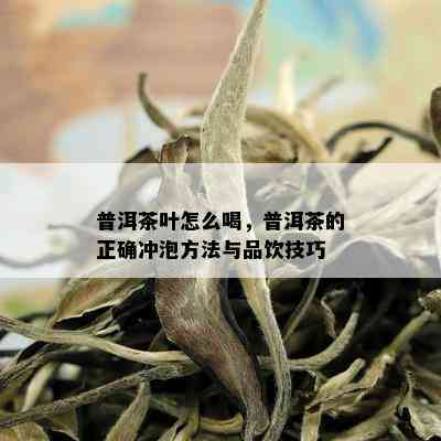 普洱茶叶怎么喝，普洱茶的正确冲泡方法与品饮技巧