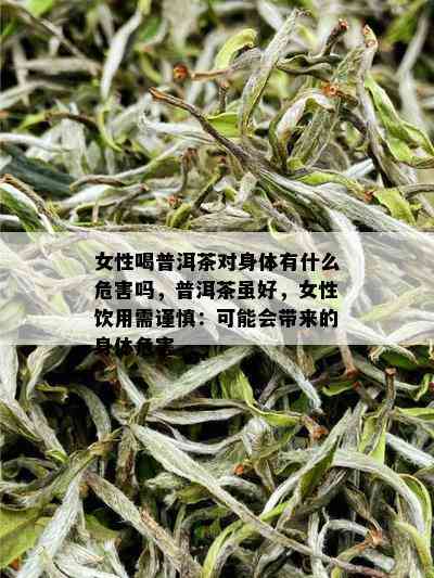 女性喝普洱茶对身体有什么危害吗，普洱茶虽好，女性饮用需谨慎：可能会带来的身体危害