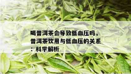 喝普洱茶会导致低血压吗，普洱茶饮用与低血压的关系：科学解析