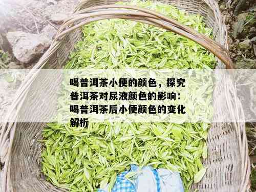 喝普洱茶小便的颜色，探究普洱茶对尿液颜色的影响：喝普洱茶后小便颜色的变化解析