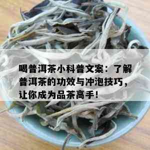 喝普洱茶小科普文案：了解普洱茶的功效与冲泡技巧，让你成为品茶高手！