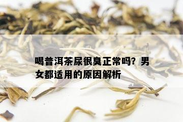 喝普洱茶尿很臭正常吗？男女都适用的原因解析