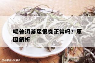 喝普洱茶尿很臭正常吗？原因解析