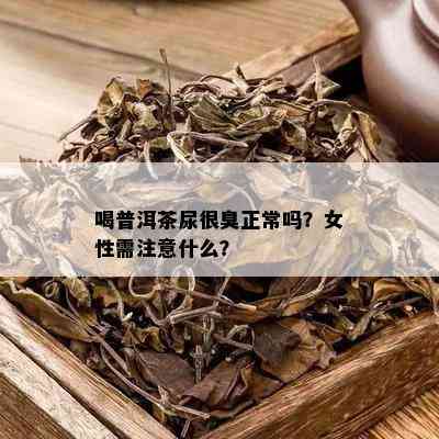 喝普洱茶尿很臭正常吗？女性需注意什么？