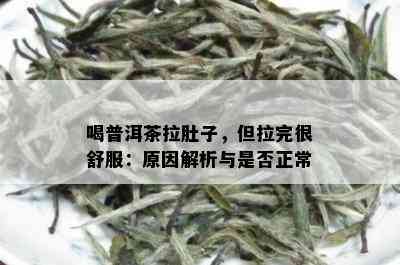 喝普洱茶拉肚子，但拉完很舒服：原因解析与是否正常