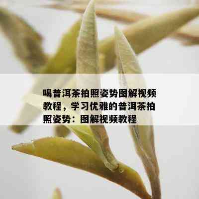 喝普洱茶拍照姿势图解视频教程，学习优雅的普洱茶拍照姿势：图解视频教程