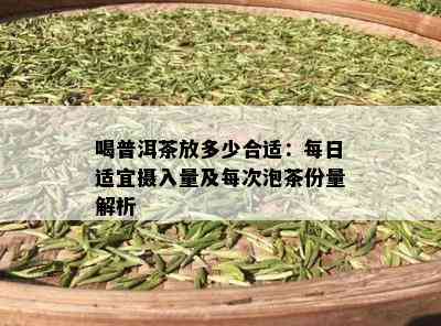 喝普洱茶放多少合适：每日适宜摄入量及每次泡茶份量解析