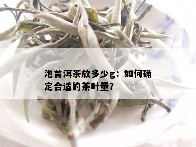 泡普洱茶放多少g：如何确定合适的茶叶量？