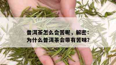 普洱茶怎么会苦呢，解密：为什么普洱茶会带有苦味？