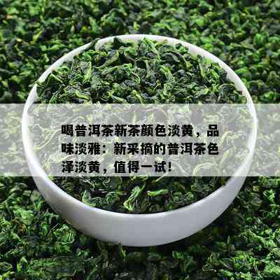 喝普洱茶新茶颜色淡黄，品味淡雅：新采摘的普洱茶色泽淡黄，值得一试！