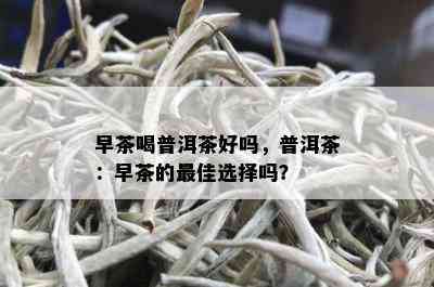 早茶喝普洱茶好吗，普洱茶：早茶的更佳选择吗？