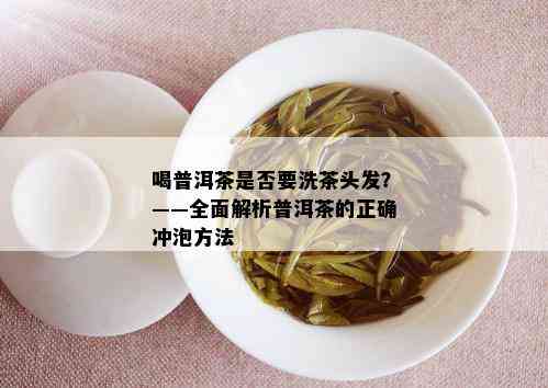 喝普洱茶是否要洗茶头发？——全面解析普洱茶的正确冲泡方法