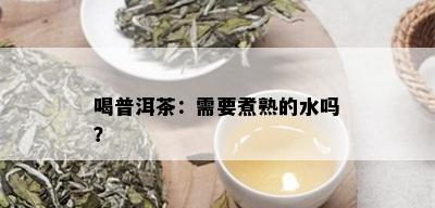 喝普洱茶：需要煮熟的水吗？