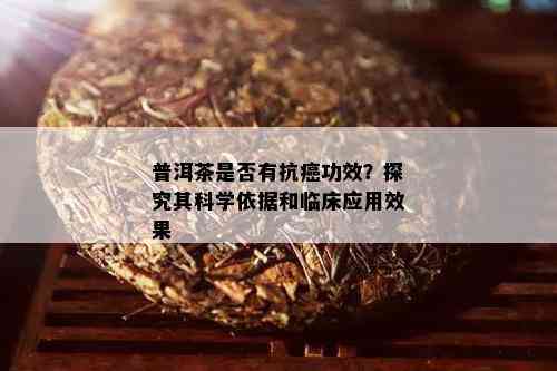 普洱茶是否有抗癌功效？探究其科学依据和临床应用效果