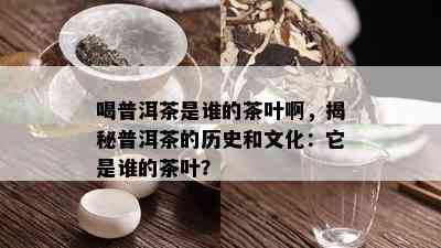 喝普洱茶是谁的茶叶啊，揭秘普洱茶的历史和文化：它是谁的茶叶？