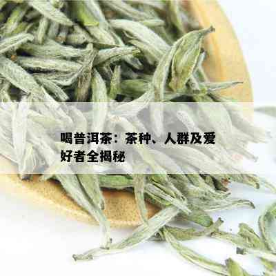 喝普洱茶：茶种、人群及爱好者全揭秘