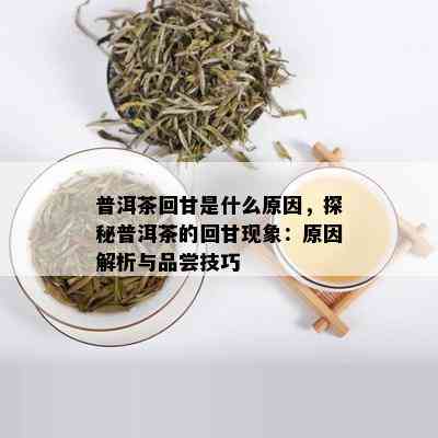 普洱茶回甘是什么原因，探秘普洱茶的回甘现象：原因解析与品尝技巧