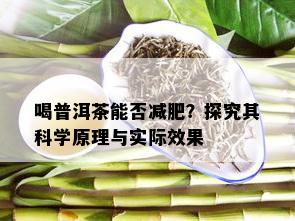 喝普洱茶能否减肥？探究其科学原理与实际效果