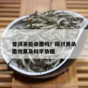 普洱茶能杀菌吗？探讨其杀菌效果及科学依据